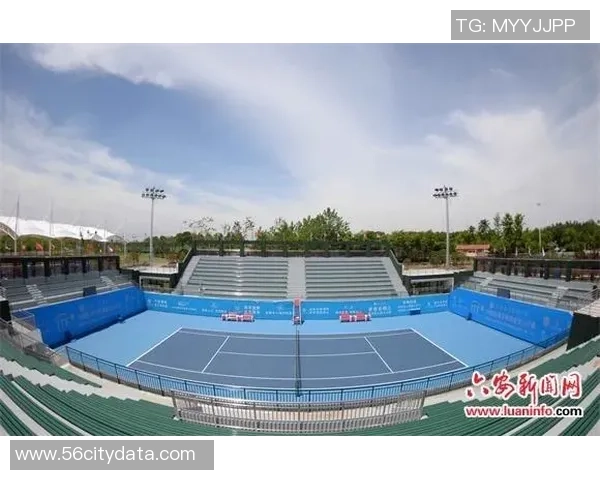 专访王丽揭秘网球成功秘诀与职业生涯背后的故事 专访王丽揭秘网球成功秘诀与职业生涯背后的故事