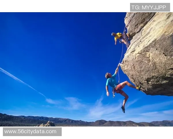 成都攀岩队员个人能力深度对比与分析揭示团队潜力与发展方向