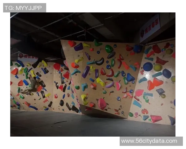 极限运动新手指南：从零基础到极速挑战的全面攻略