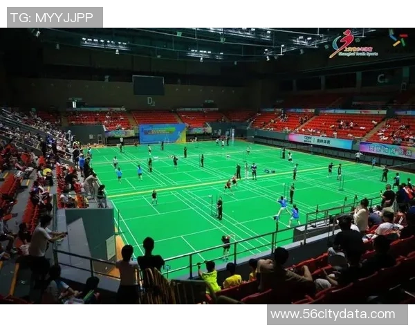 羽毛球之巅：深入探讨上海羽毛球队的精神与文化传承