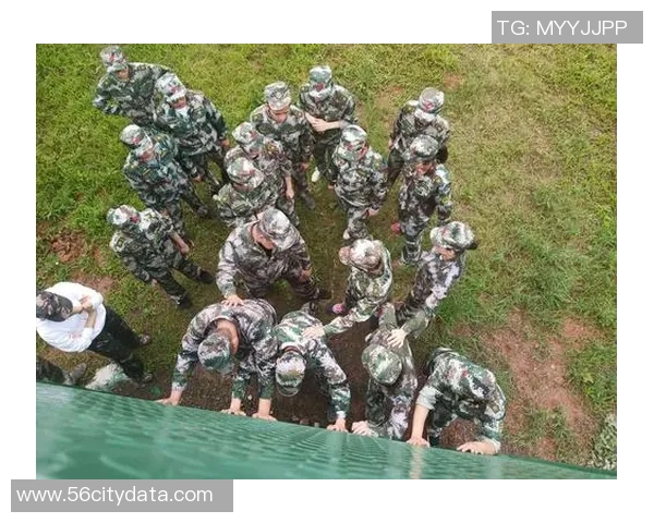 景菡一的成长之路：从平凡到卓越的蜕变与追寻